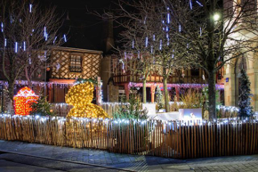 Obrázok pre kategóriu Vianočné osvetlenie na záhradu