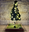 Obrázok z Machový Vianočný stromček 50cm / 50led so záhradkou