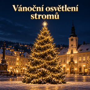 Obrázok pre kategóriu Vánoční osvětlení stromů